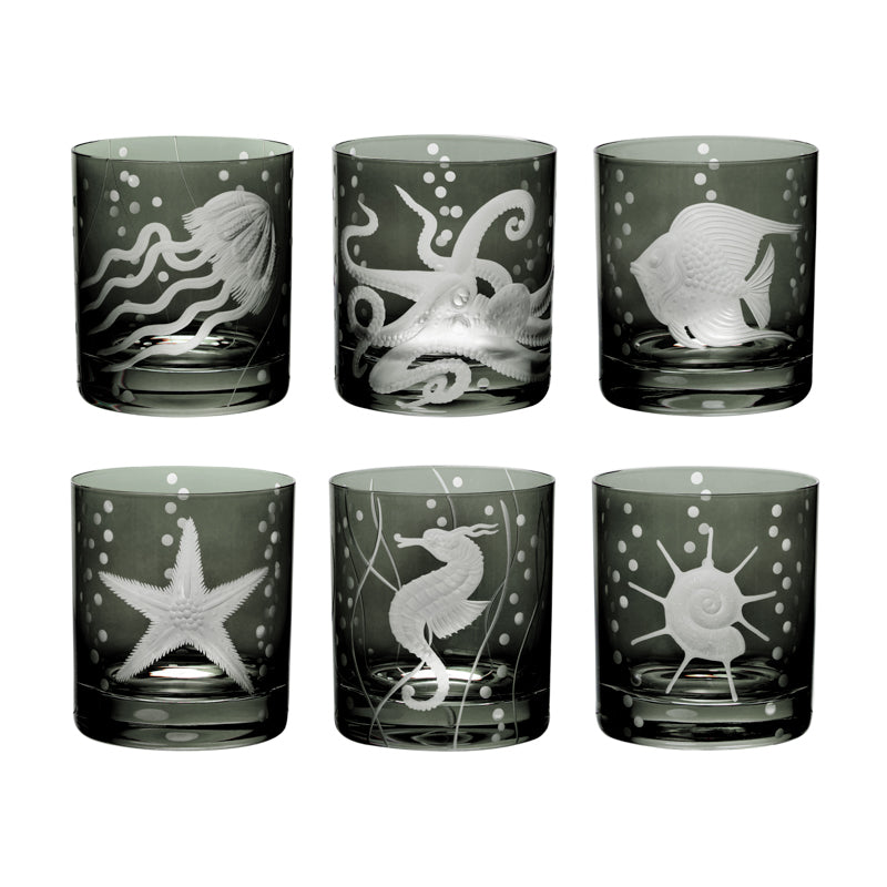 Sea Life Collection Set