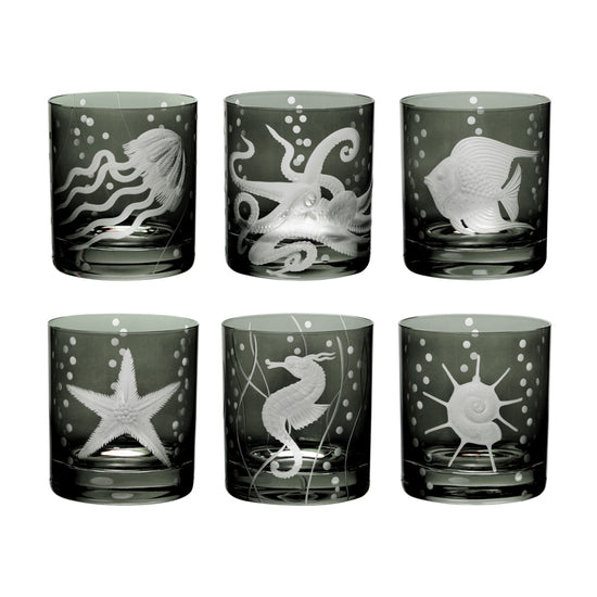 Sea Life Collection Set