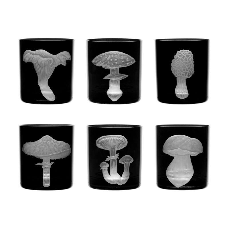 Mushrooms Collection Set