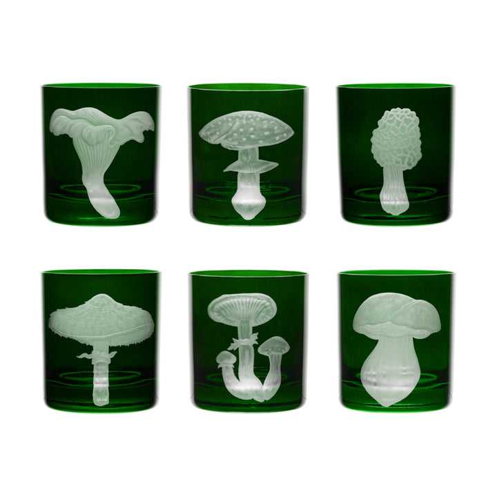 Mushrooms Honey Fungus