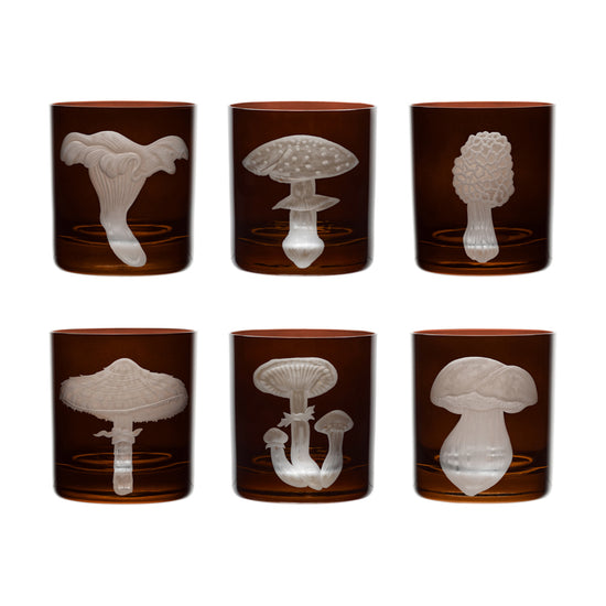 Mushrooms Collection Set