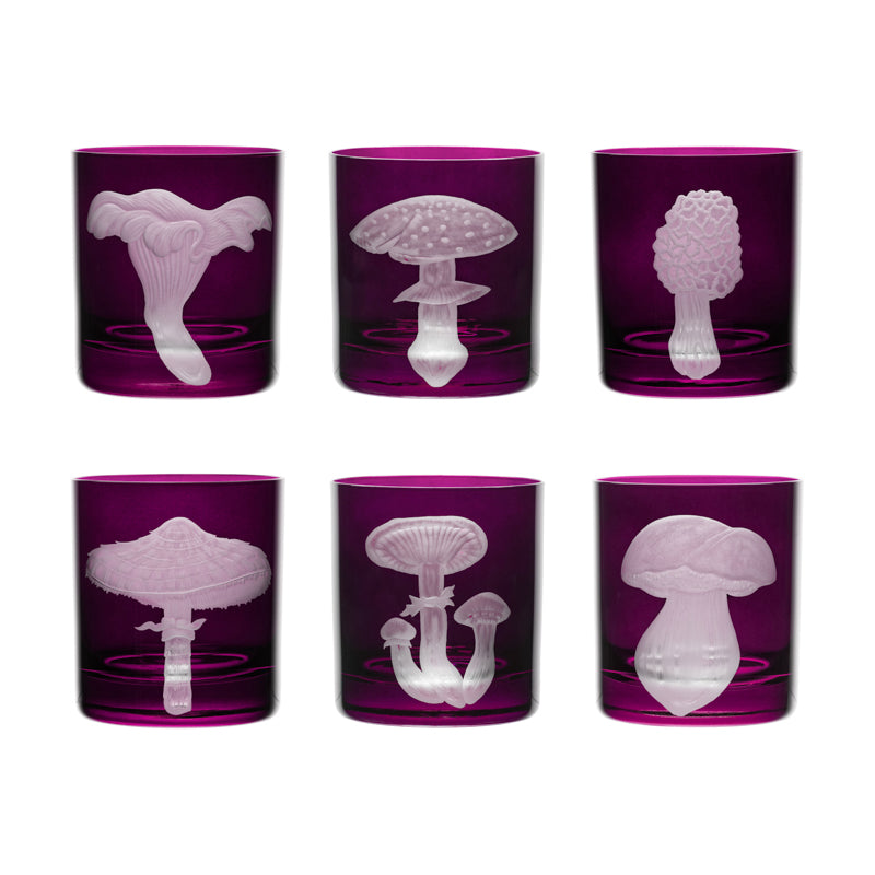 Mushrooms Fly Amanita