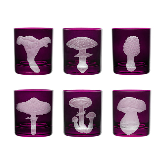 Mushrooms Fly Amanita