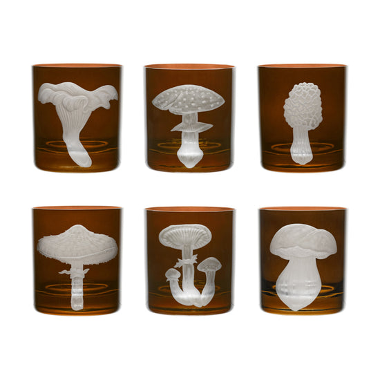Mushrooms Collection Set