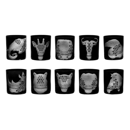 African Safari Collection Set