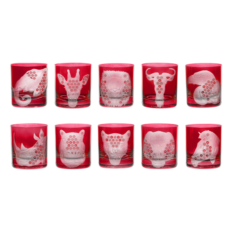 African Safari Collection Set