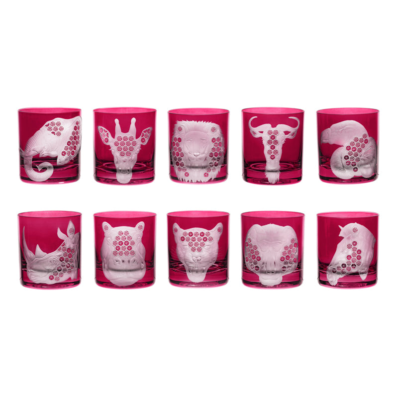 African Safari Collection Set