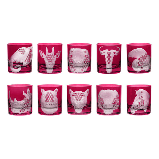 African Safari Collection Set