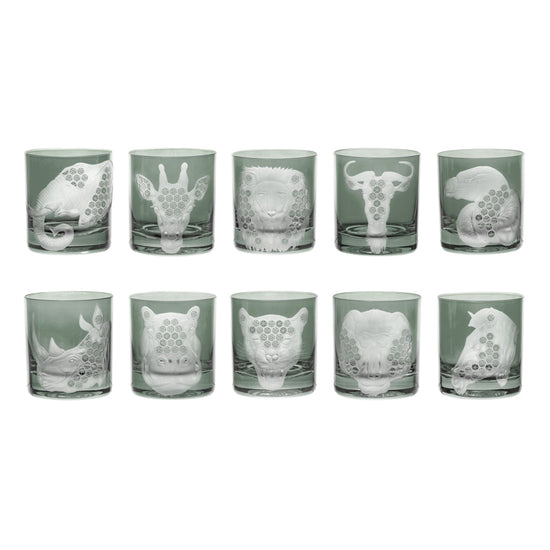 African Safari Collection Set