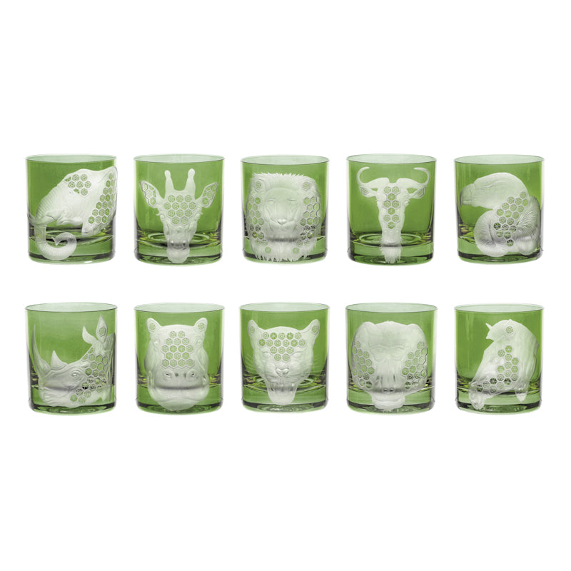 African Safari Collection Set