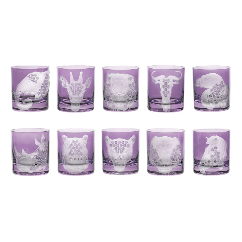 African Safari Collection Set