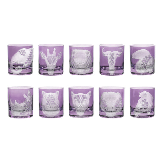 African Safari Collection Set