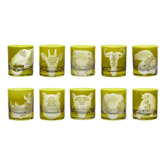 African Safari Collection Set