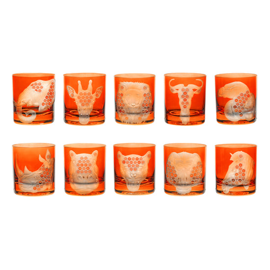 African Safari Collection Set