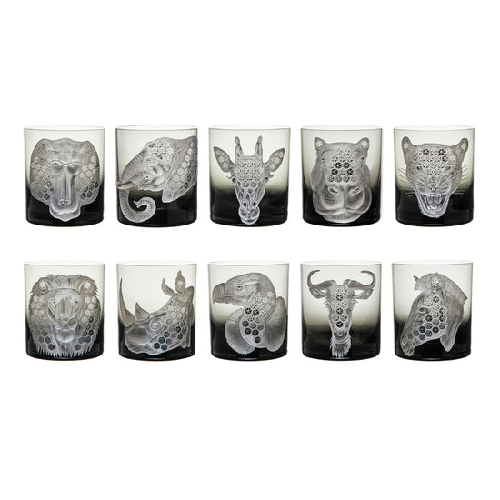 African Safari Collection Set