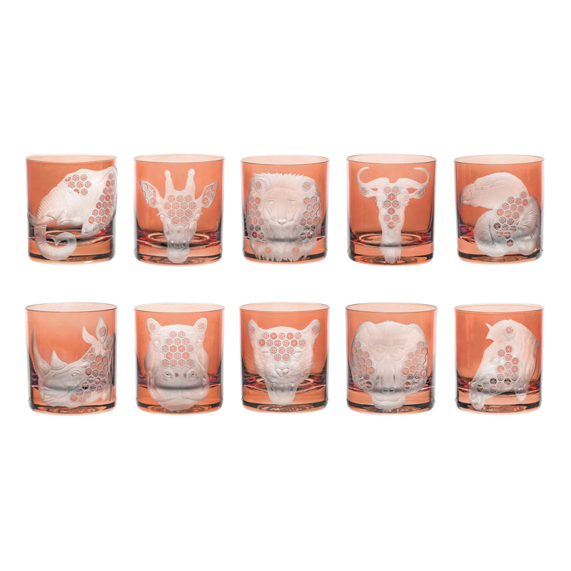 African Safari Collection Set