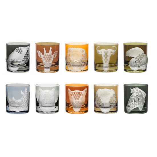 African Safari Collection Set