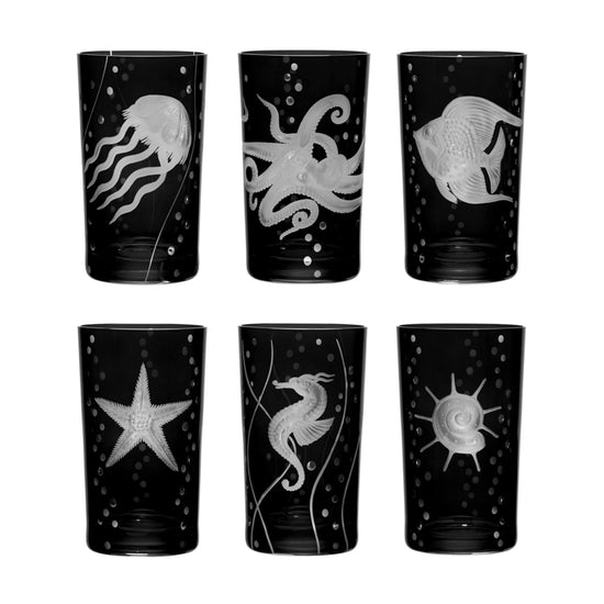 Sea Life Collection Set