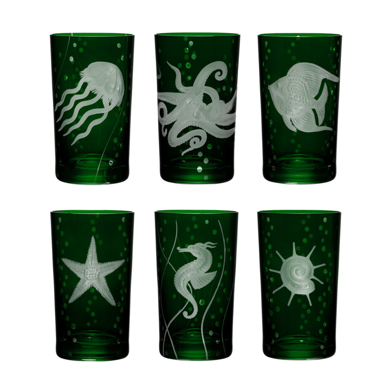 Sea Life Collection Set