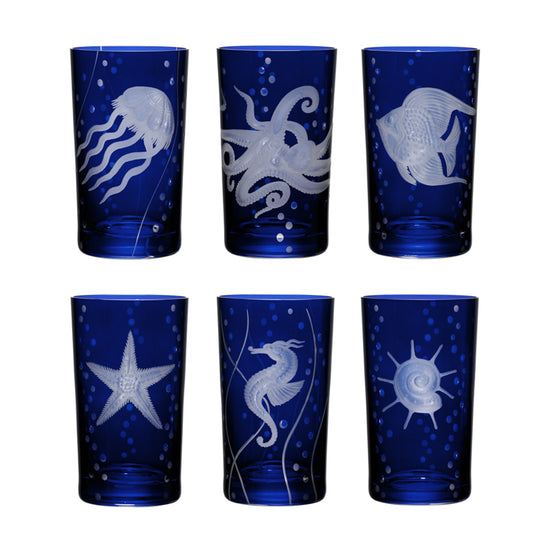 Sea Life Collection Set