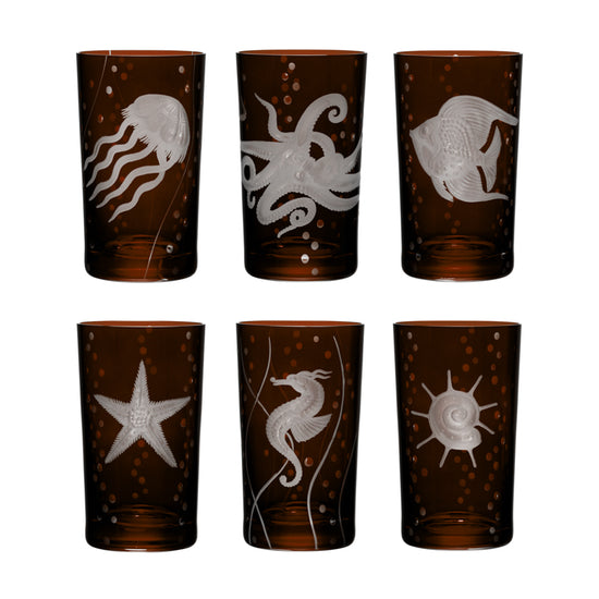 Sea Life Collection Set