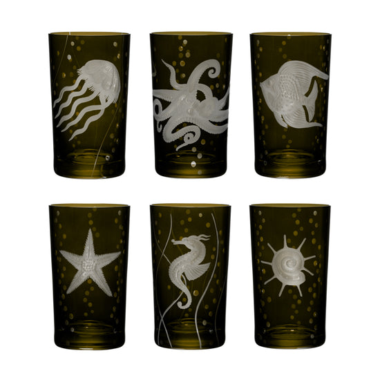 Sea Life Collection Set