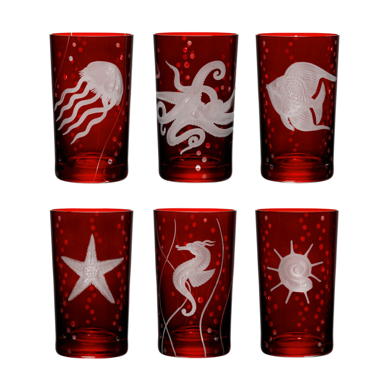 Sea Life Collection Set