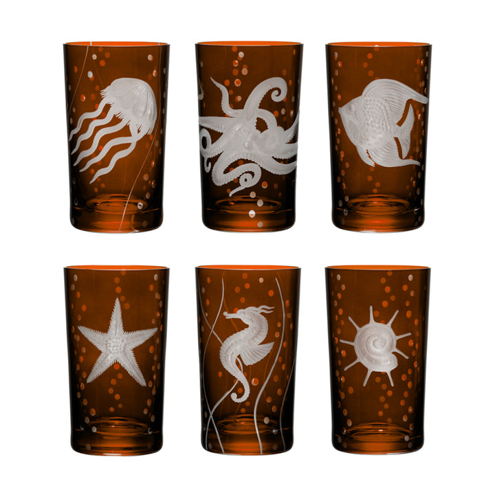 Sea Life Collection Set