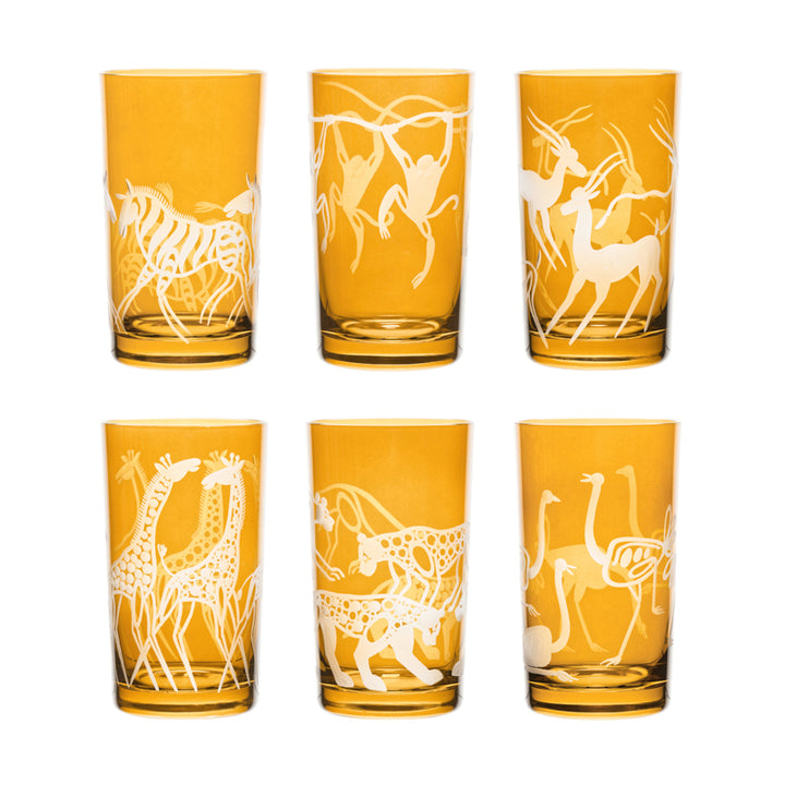 Safari Giraffes