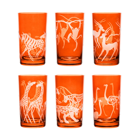 Safari Set