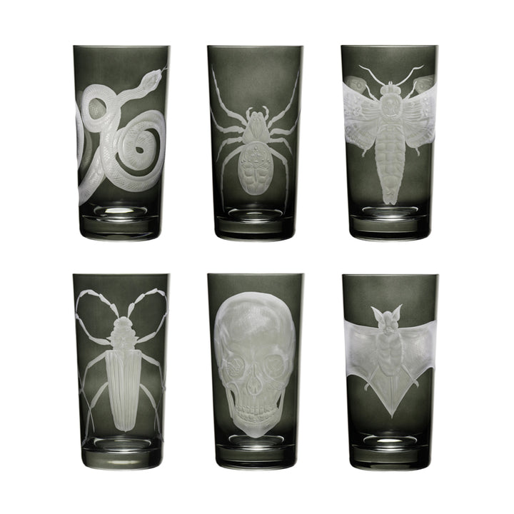 Cabinet of Curiosities Collection Set