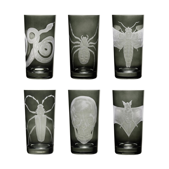 Cabinet of Curiosities Collection Set