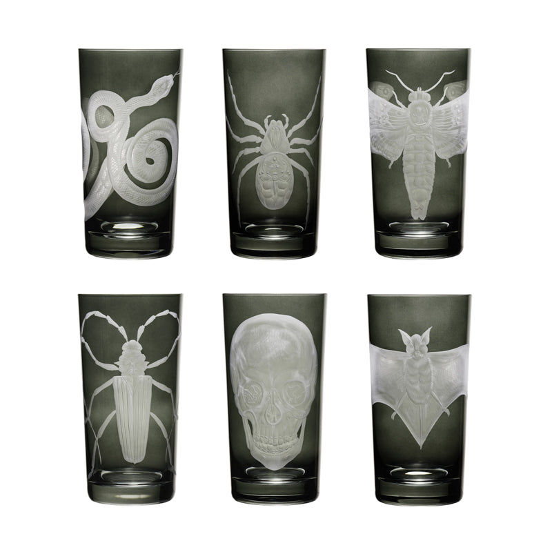 Cabinet of Curiosities Butterfly