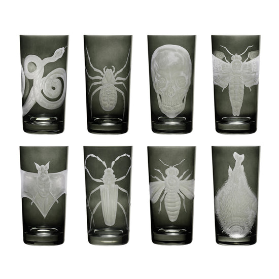 Cabinet of Curiosities Bat