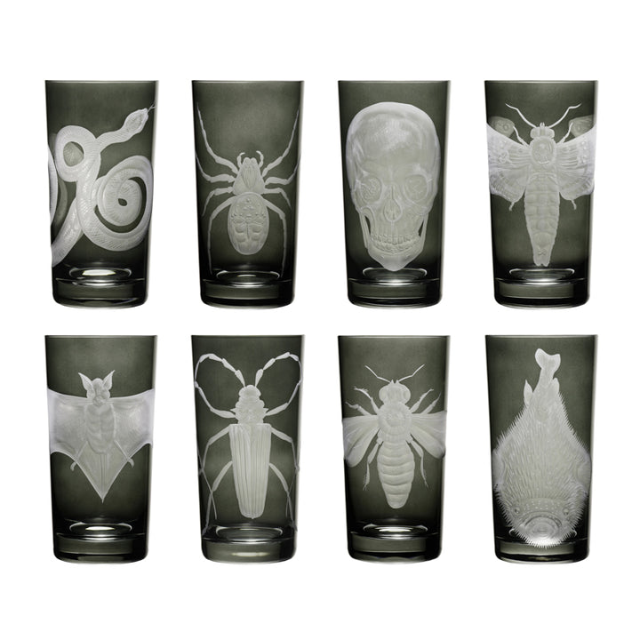 Cabinet of Curiosities Collection Set