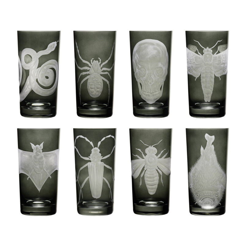 Cabinet of Curiosities Butterfly