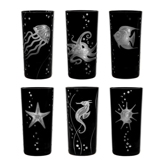 Sea Life Octopus