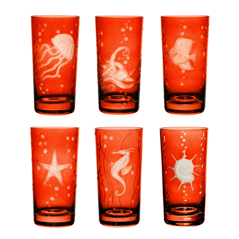 Sea Life Collection Set