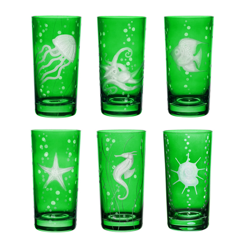 Sea Life Collection Set