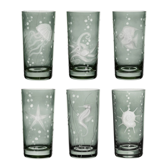 Sea Life Collection Set