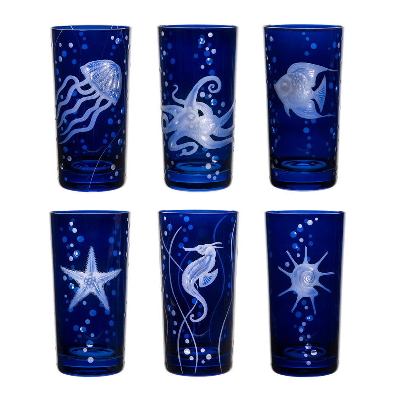 Sea Life Collection Set