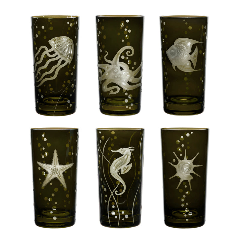 Sea Life Collection Set