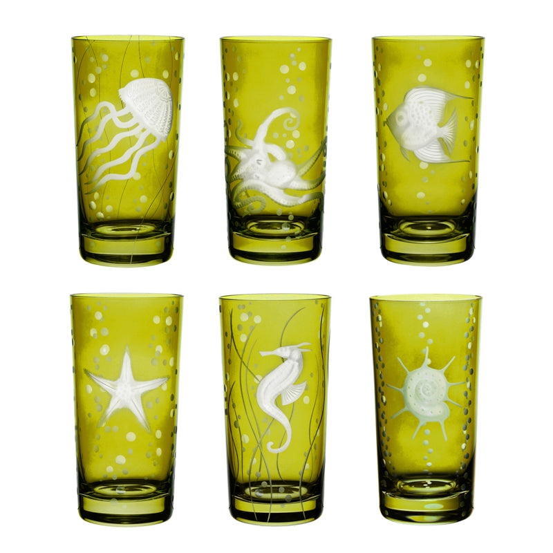 Sea Life Collection Set