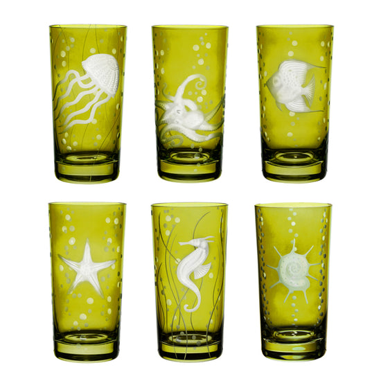 Sea Life Collection Set