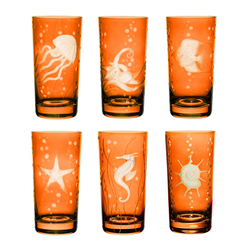 Sea Life Collection Set