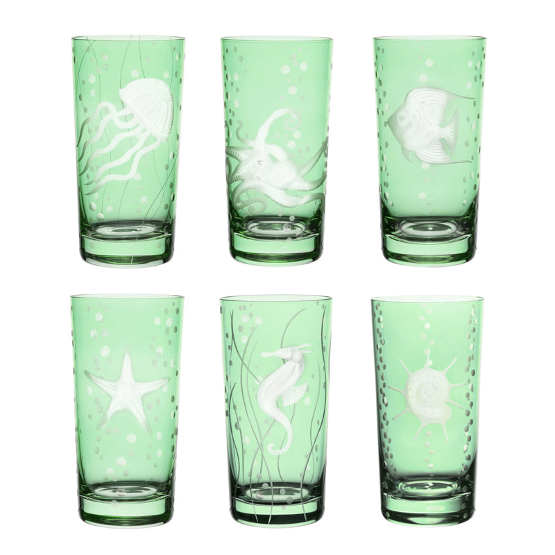 Sea Life Collection Set