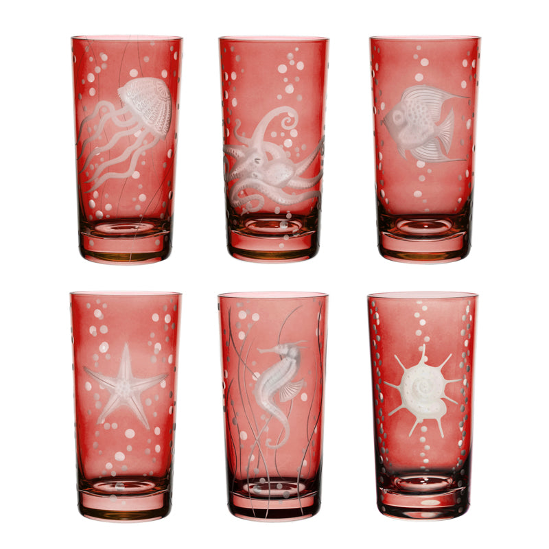 Sea Life Collection Set