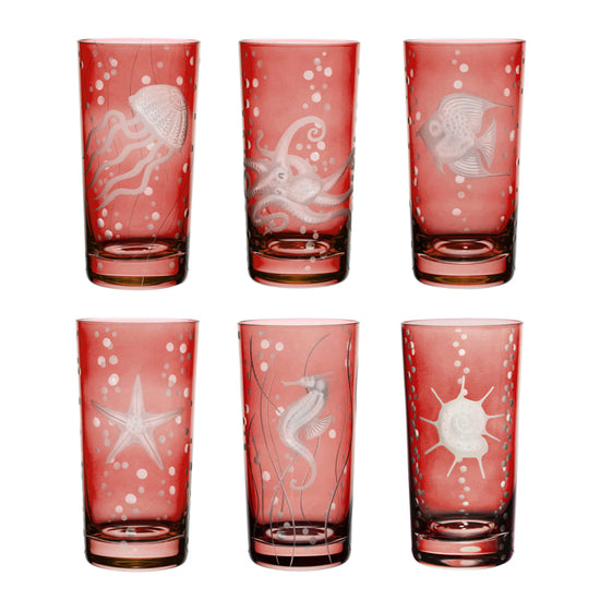 Sea Life Collection Set