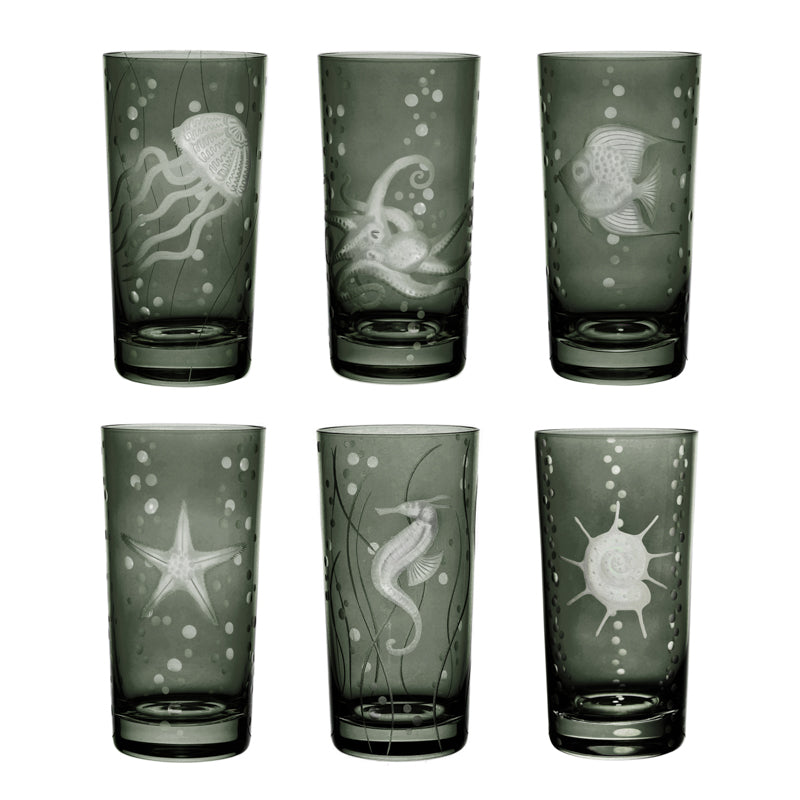 Sea Life Collection Set