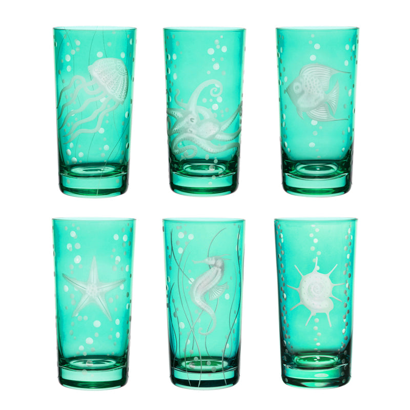 Sea Life Collection Set